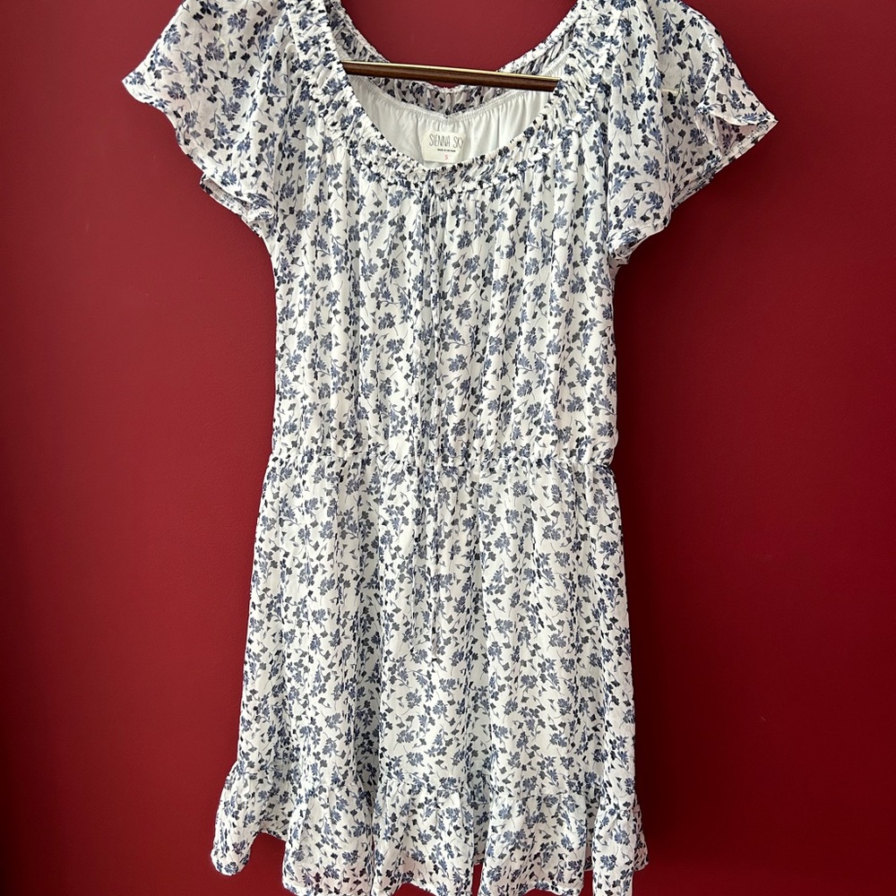 Floral Blue and White Mini Dress